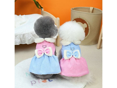 Blue Bow Cat Clothes