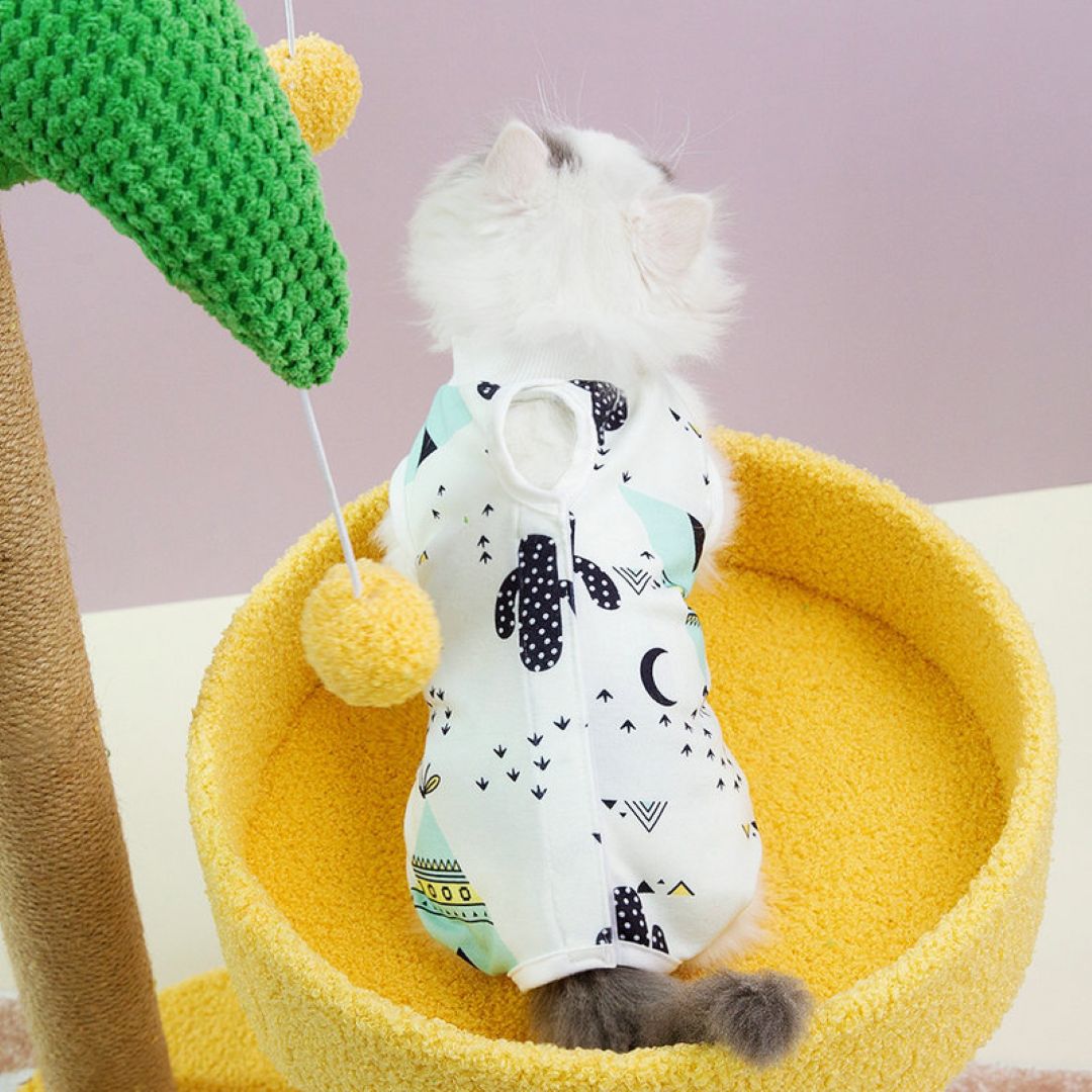 Pet Clothes Cactus