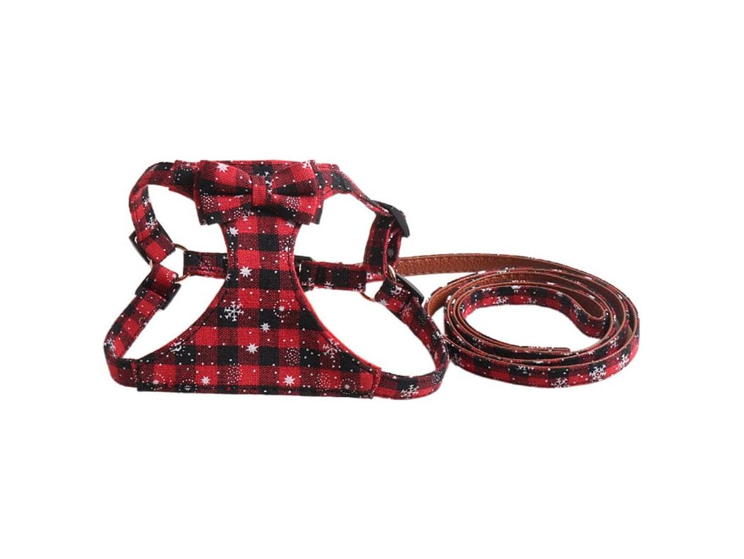 Harness+Leash Red