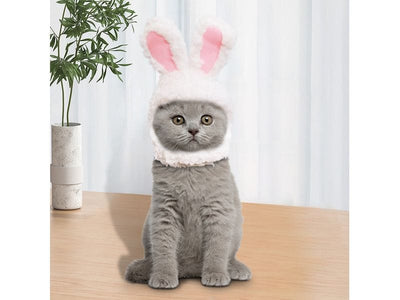 Cute pet rabbit ear hat