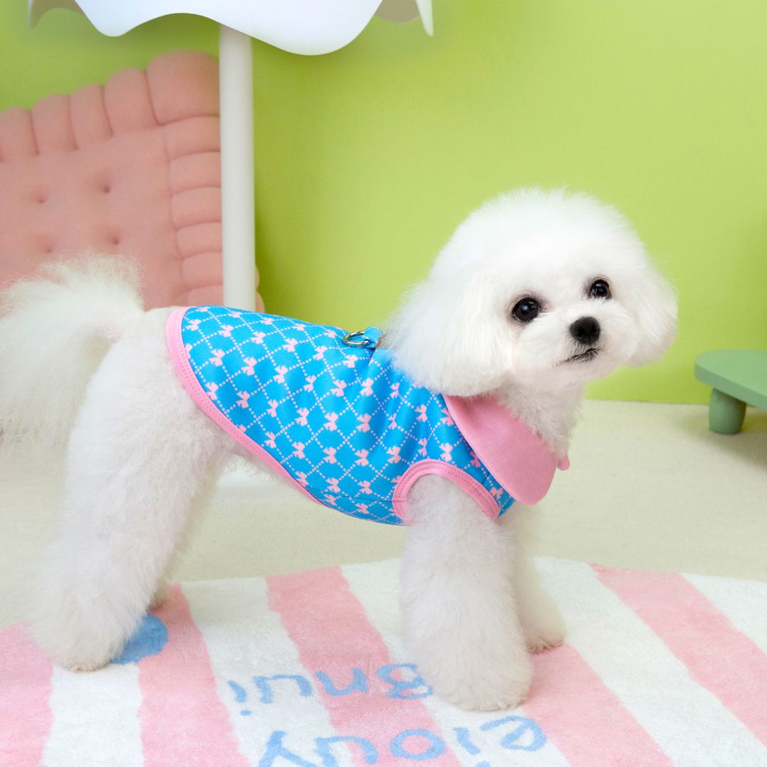 Pet Bow Plaid Hoodie Warm Jacket Autumn Winter Teddy Small Dog Blue