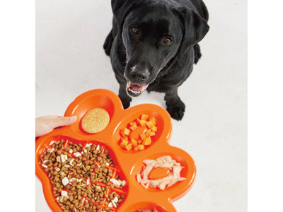 Pet Slow Feeder