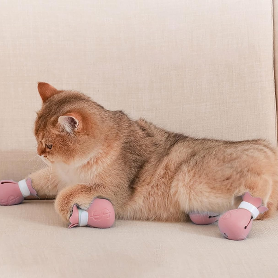 Pets Money Bag Cat Ankle Holder Pink