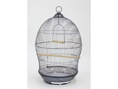 Bird Cage As Photo