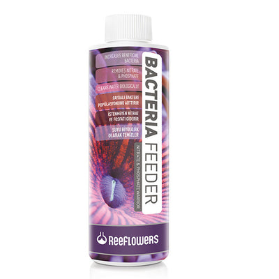 ReeFlowers Bacteria Feeder