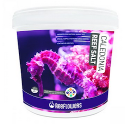 ReeFlowers Caledonia Reef Salt – Premium Marine Salt for Reef Aquariums