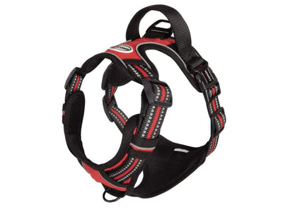 Reflective Padded Harness - Comfort Prime (Orange, XL)