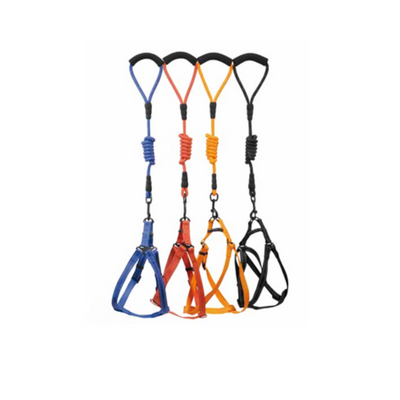 Reflex Scottish Pattern Dog Harness 25mm with Rope Leash 12x1200mm Set