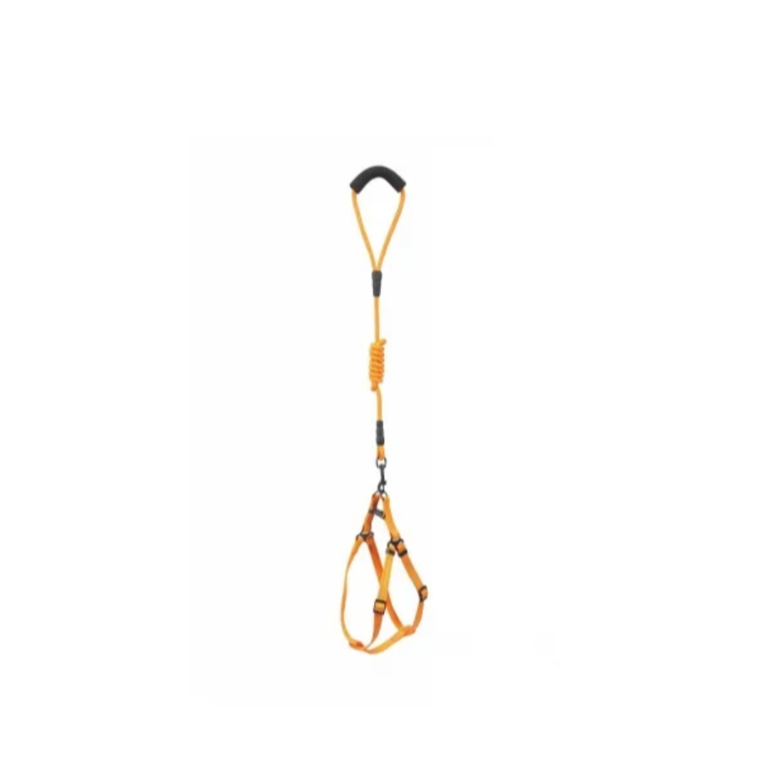 Reflex Scottish Pattern Dog Harness 25mm with Rope Leash 12x1200mm Set