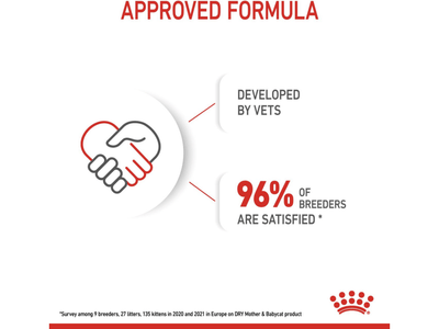 Royal Canin Feline Health Nutrition Mother &amp; Baby Cat Food&nbsp;
