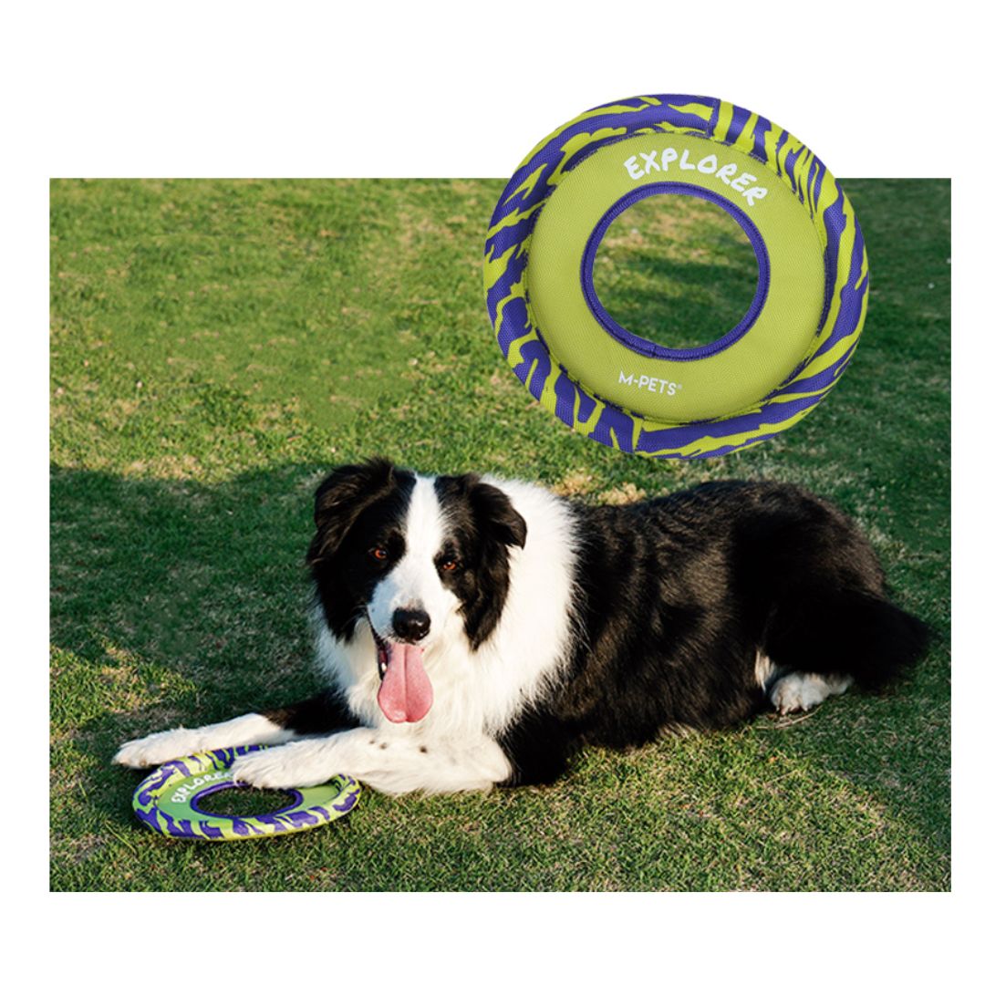 Dog lying on grass with a green and blue frisbee toy labeled 'Explorer' from M-Pets.