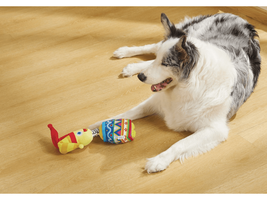 Joyful Snack Attack Dog Toy - Jester