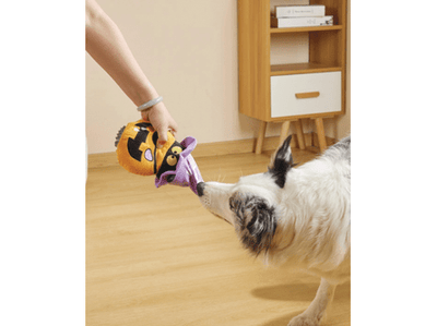 Halloween Snack Attack Dog Toy - Pumpkin