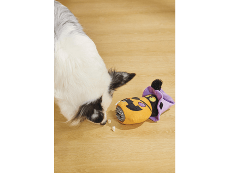 Halloween Snack Attack Dog Toy - Pumpkin