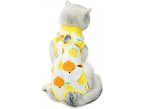 Pet Clothes Lemon