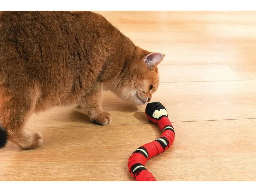 Sneaky Snake Interactive Cat Toy