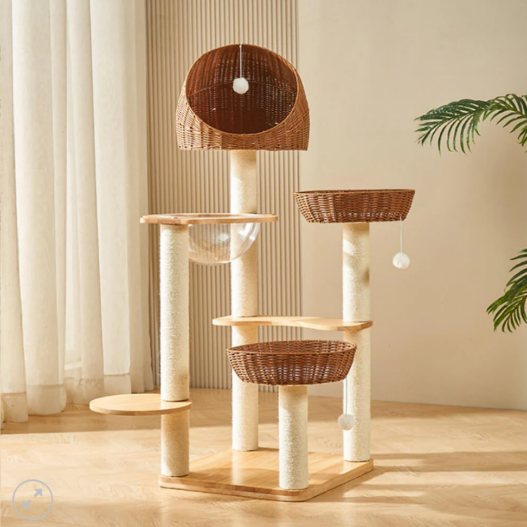Solid Wood & Rattan 7-Level Cat Tree 48×52×127cm