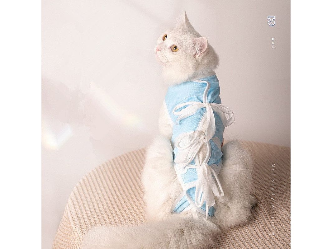 Strap Cat Surgical Gown Blue &amp; White – Recovery Suit for Cats