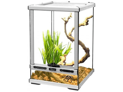 Glass Terrarium - 30 x 30 x 45 cm