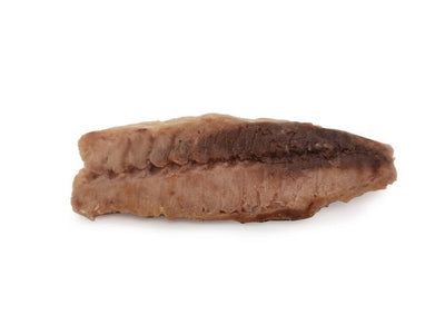 Tuna fillets (40g)