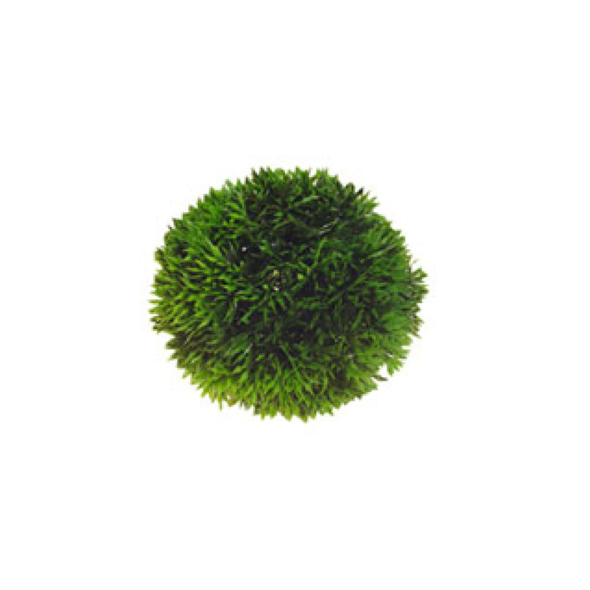 Artificial plant - Plant Ball Small