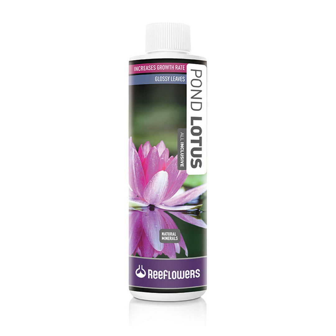 Reeflowers  Pond Lotus - All Inclusive 500 ml