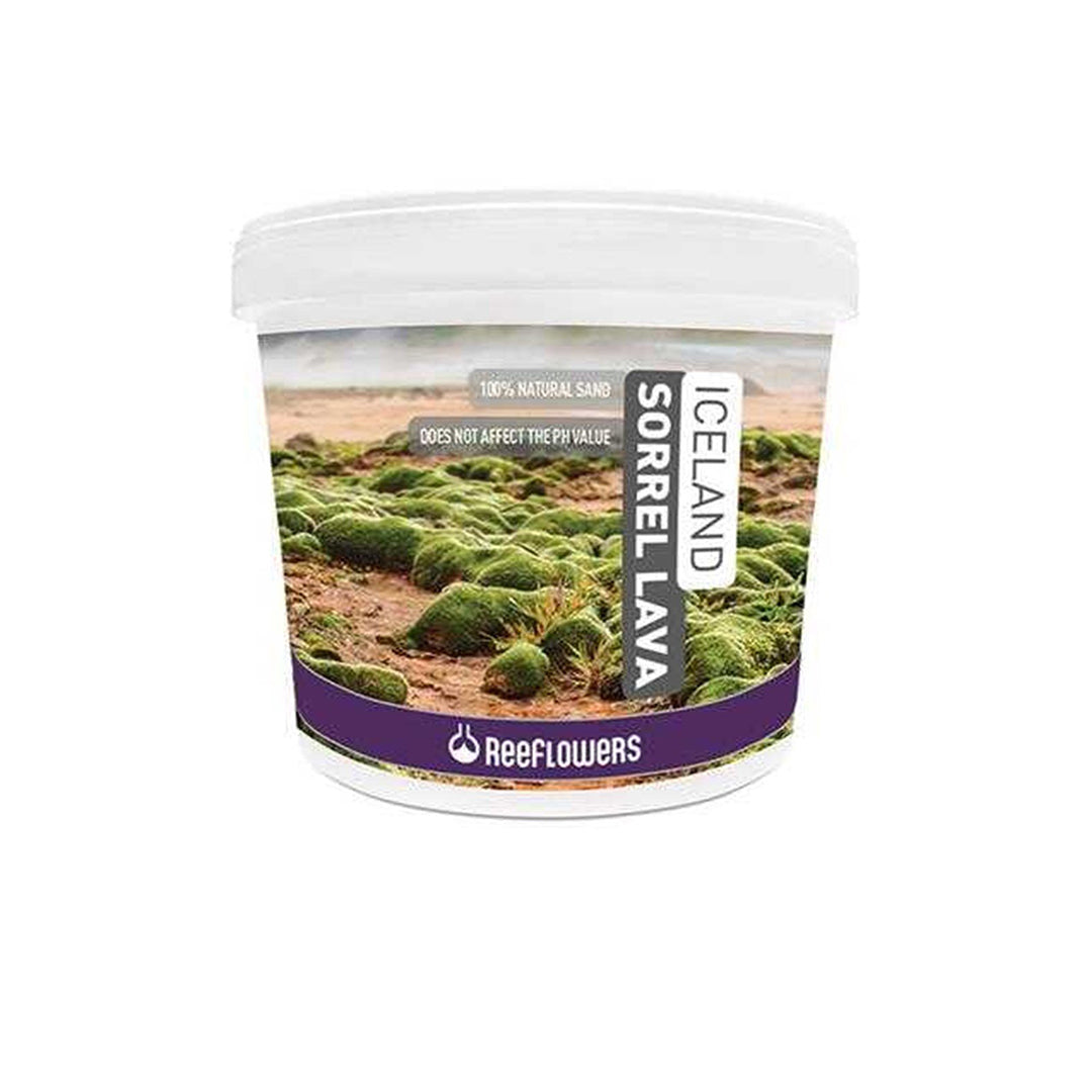 ReeFlowers Iceland Sorrel Lava - 4 kg (1-3 mm)