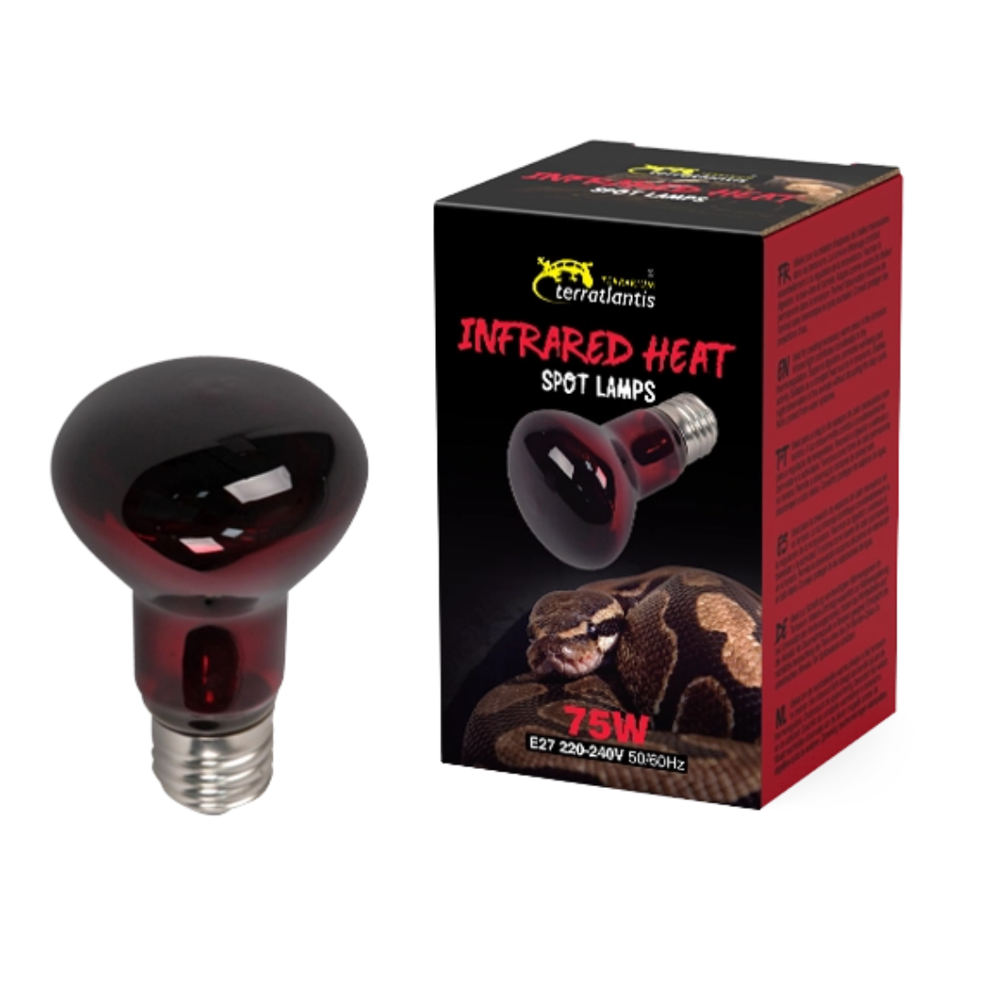 INFRARED HEAT SPOT LAMPS 75W