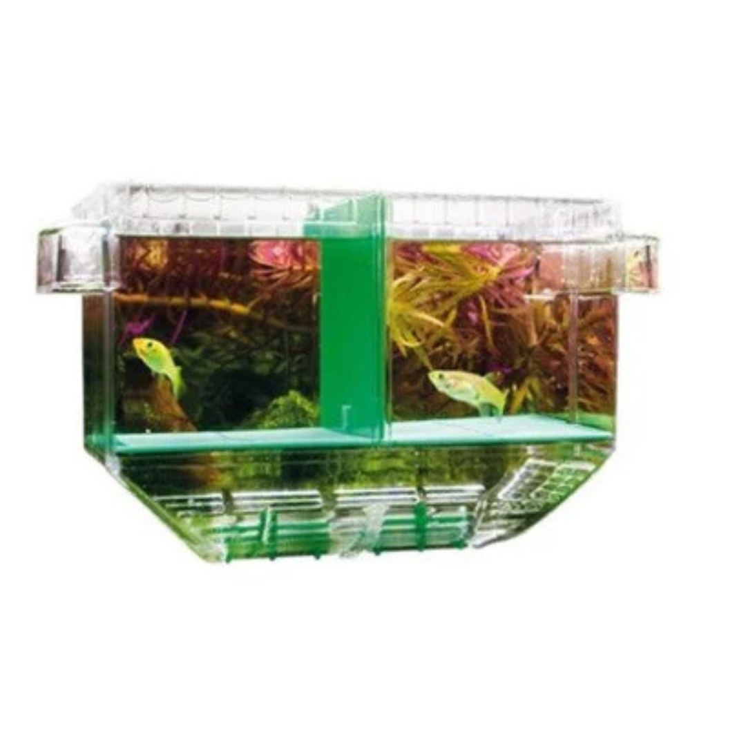 Hobby Nido 1 Floating Breeding Box – Adjustable Breeder &amp; Isolation Tank 19.5 x 11 x 9cm