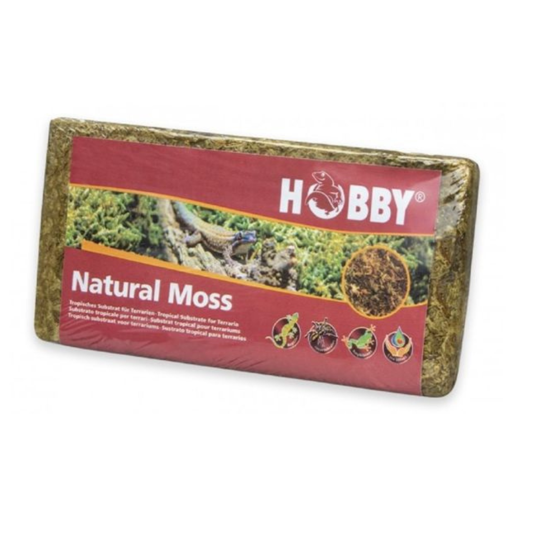 Natural Moss 100 g