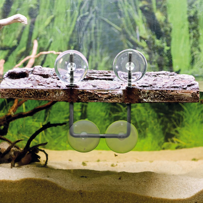 Turtle Island 1 Small