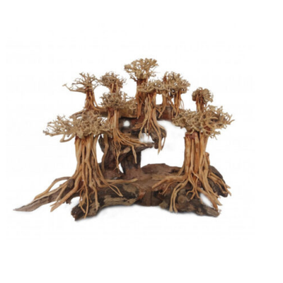 Wooden root structure on a white background