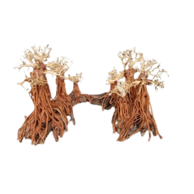 Romantic Bridge Bonsai Wood Medium, 50x40x30 cm / box