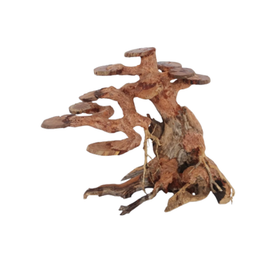 Copper Wood Tree Medium, 30x23x13 cm / box