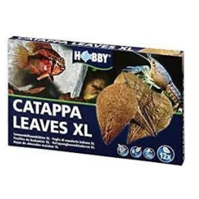 Catappa Leaves Xlarge, 12 pcs