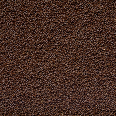Anthias Pro Feed 120g