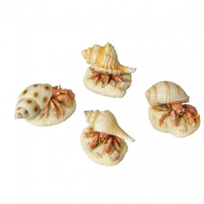 HERMIT CRAB 9,3x6x4,9CM