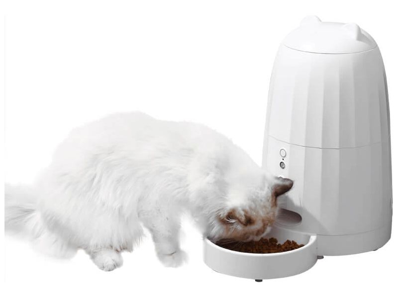 Xiaoyi Music Pet Feeder - WiFi Version