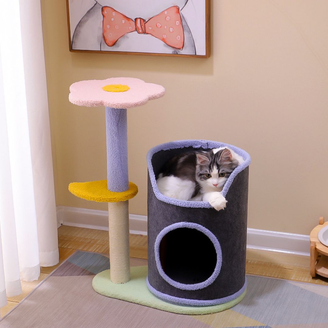 Flower Top Cat Tree With Condo