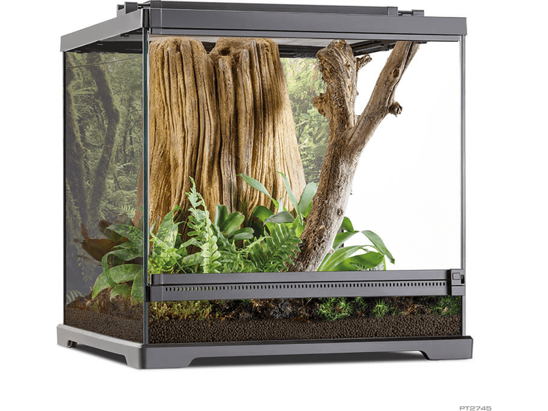 Exo Terra Dart Frog Terrarium.Amphibian Habitat 45 x 45 x 45 cm