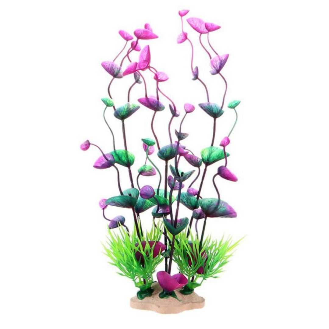 Red & Green Round Leaf Aquarium Plant 24 cm