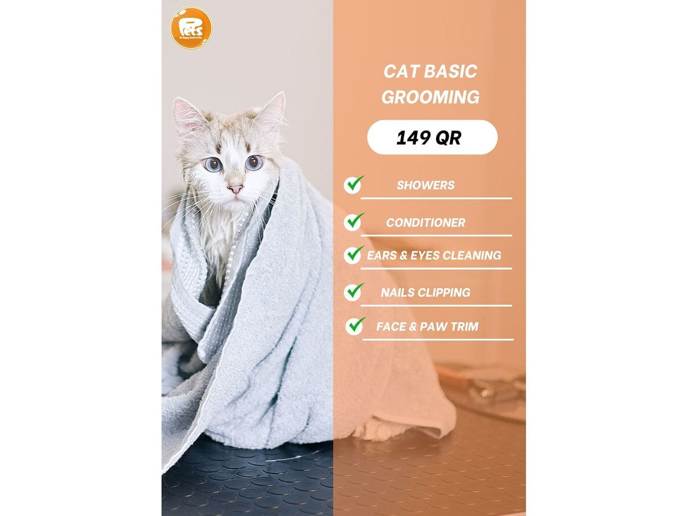 Cat Grooming Basic