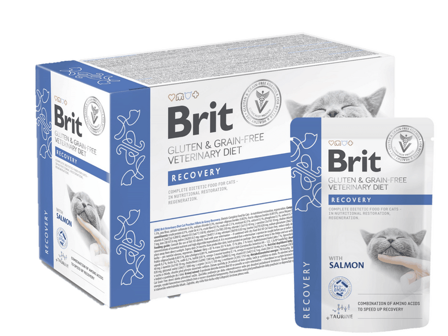 Brit Veterinary Grain-Free Recovery Diet for Cats with salmon fillets in juice, designed for cats recovering from surgery or illness. This soft, digestible food supports healing, boosts appetite, and is gluten-free