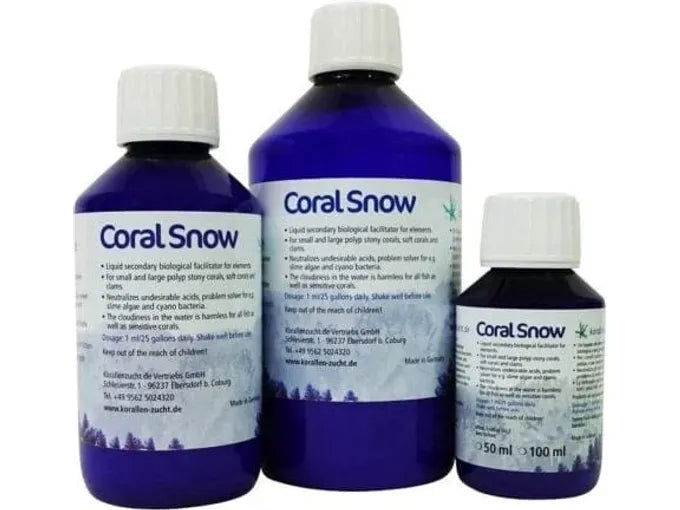 Korallenzucht- Coral Snow