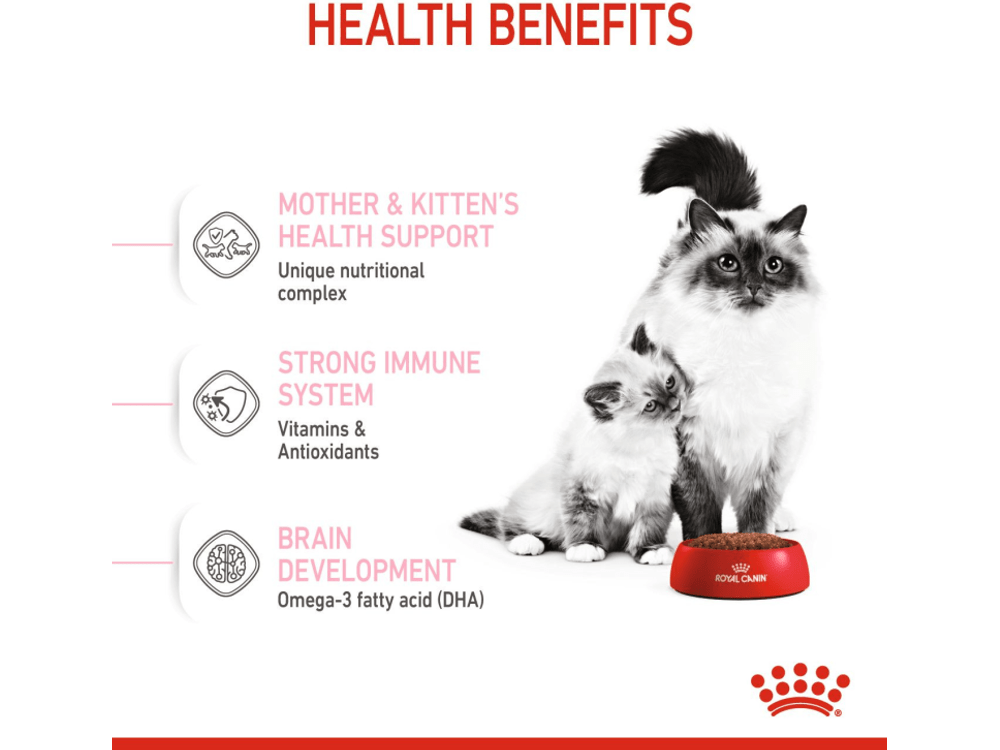 تغذية صحية للقطط للأم والقطط 10 كجم