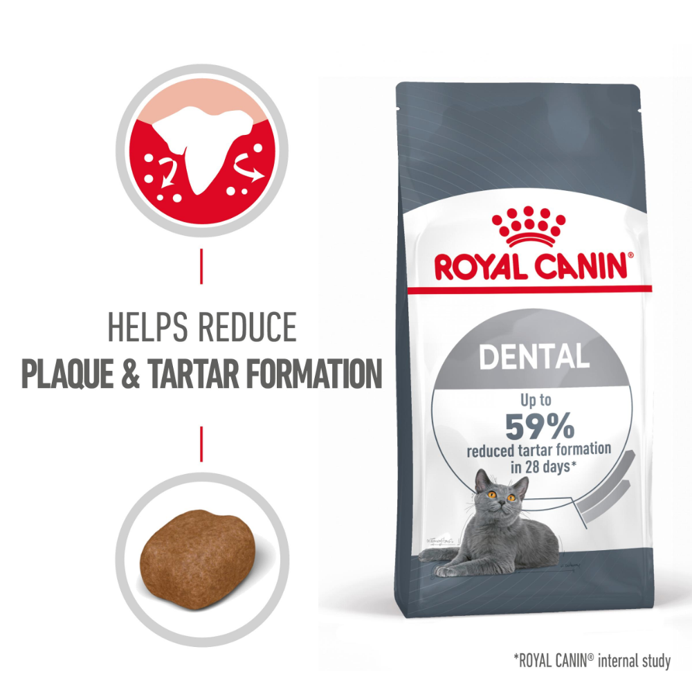 ROYAL CANIN® Dental Care Dry Cat Food | Promotes Dental Health &amp; Reduces Tartar Build-Up