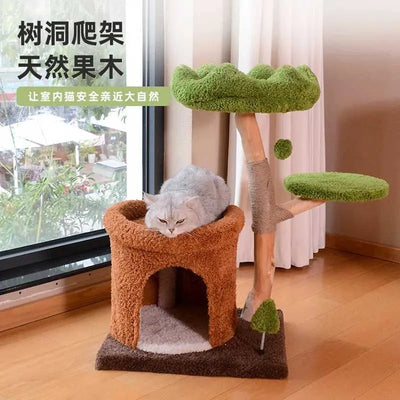 Cat Tree Natural Wood Scratching Post 50×40×80cm