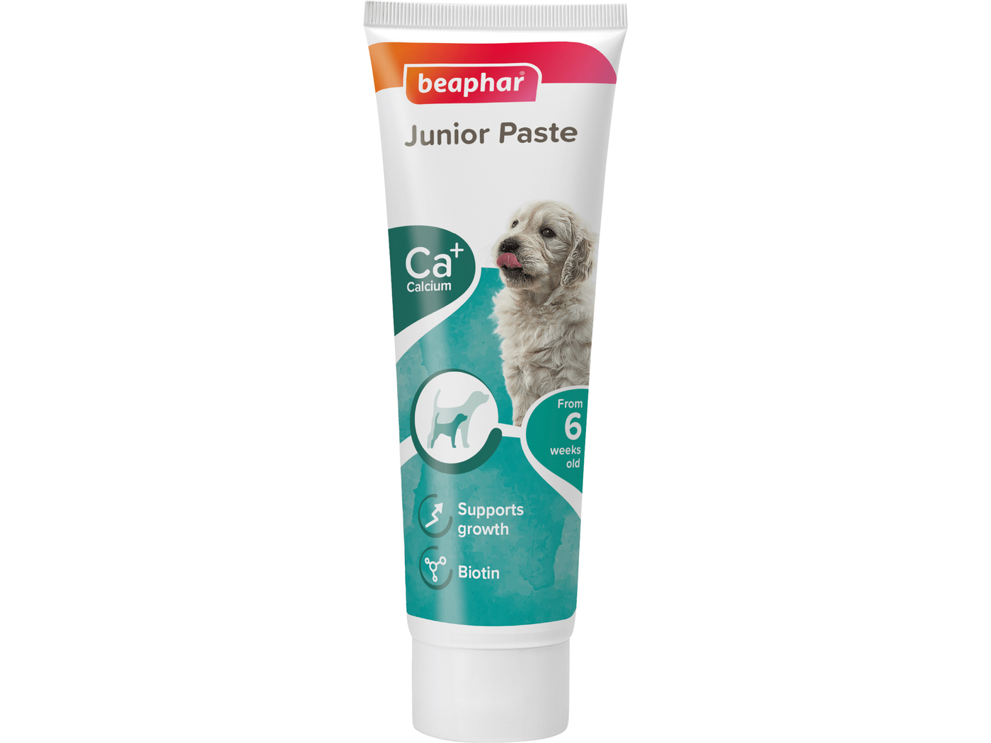 Junior Paste - Dog / 100 g