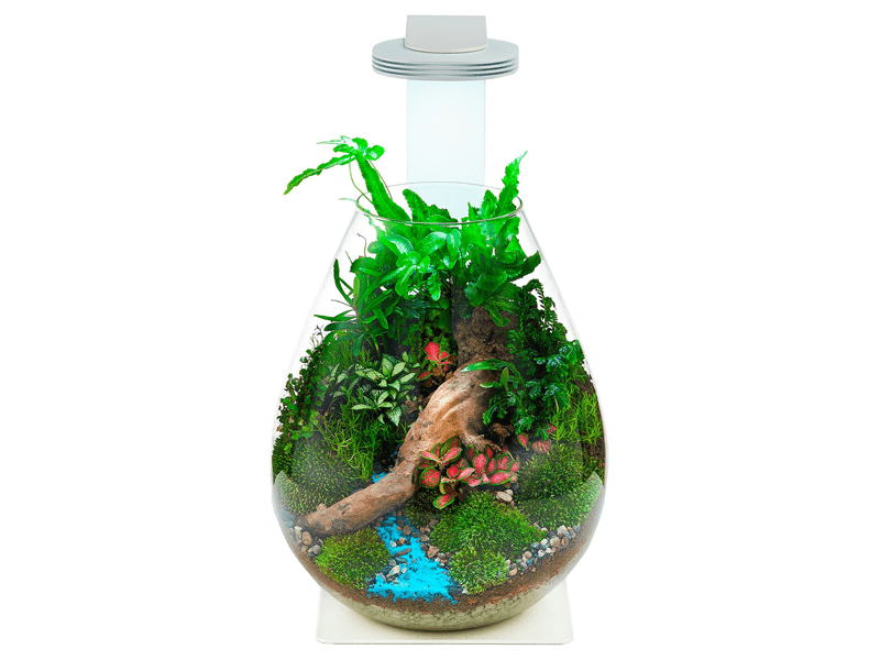 Chihiros- Magnetic Terrarium Light+Base+Glass Pot