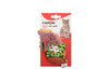 Cat Toy - Little Birds with Bells (3 Pack)